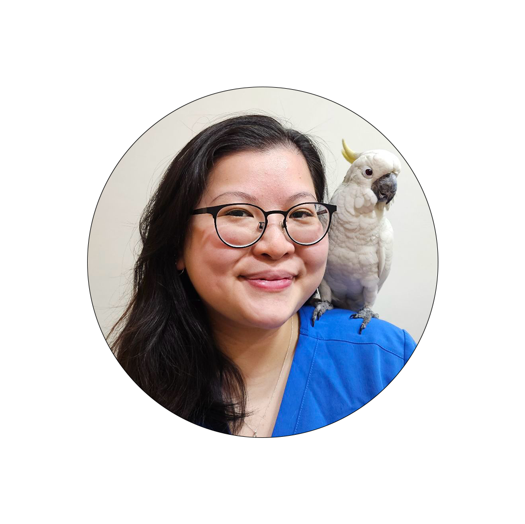 Dr Brenida Lau The Animal Clinic