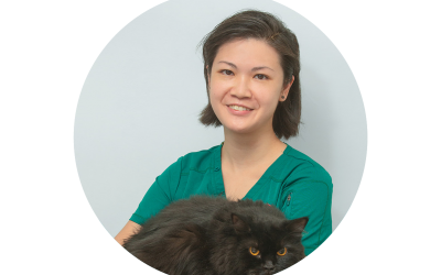 Dr Hsu Li Chieh - The Animal Clinic