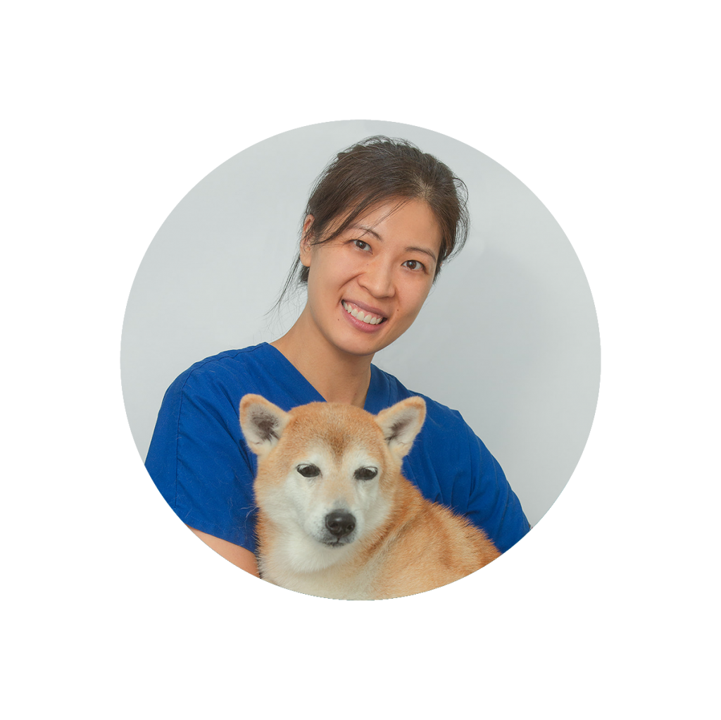 About Us The Animal Clinic
