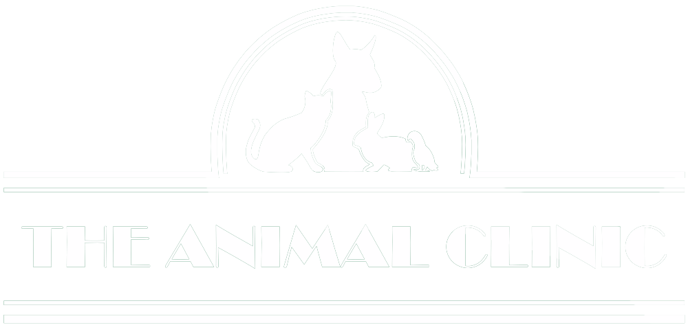 Homepage - The Animal Clinic