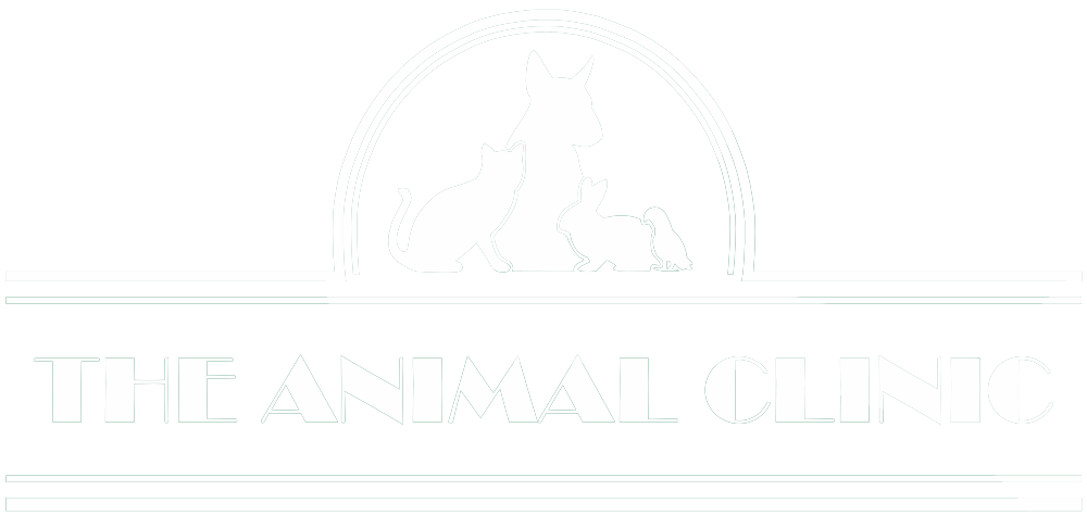 The Animal Clinic