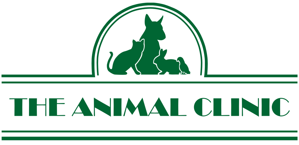 The Animal Clinic